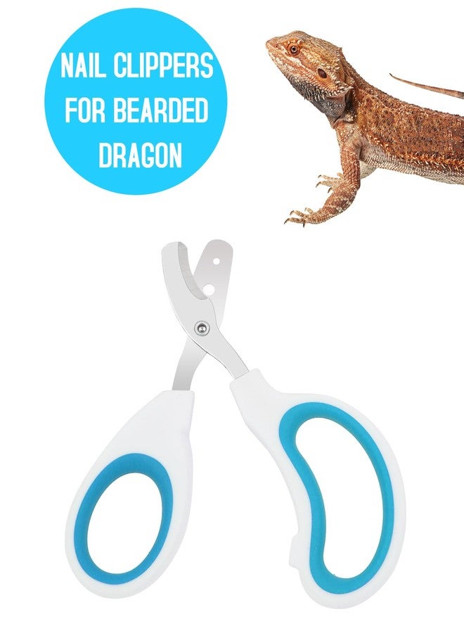 Engorgio Stainless Steel Bearded Dragon Nail Clippers,Lizard Nail Clippers,Bearded Dragon Supplies,Bearded Dragon Nail Scissors for Small Reptiles,Turtle,Chameleon,Iguana，Hedgehog（Blue） - Image 2